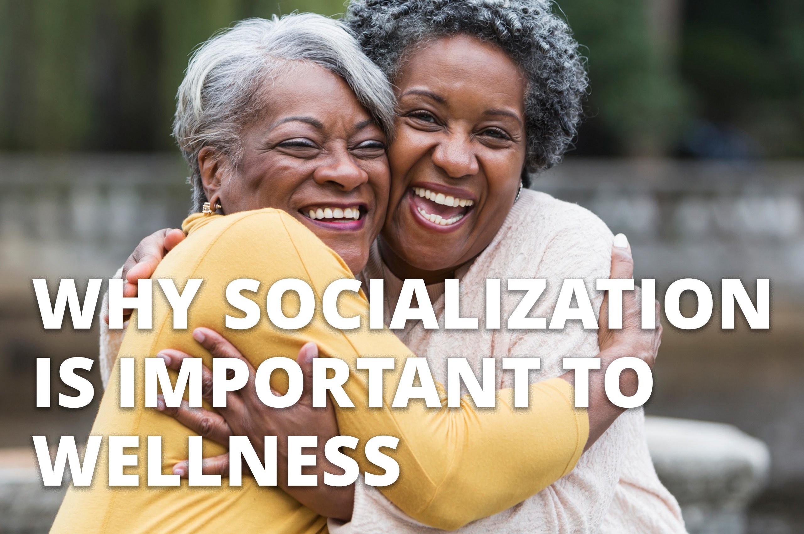 2560x1700-article-header-thumbnails-SOCIALIZATION-AND-WELLNESS